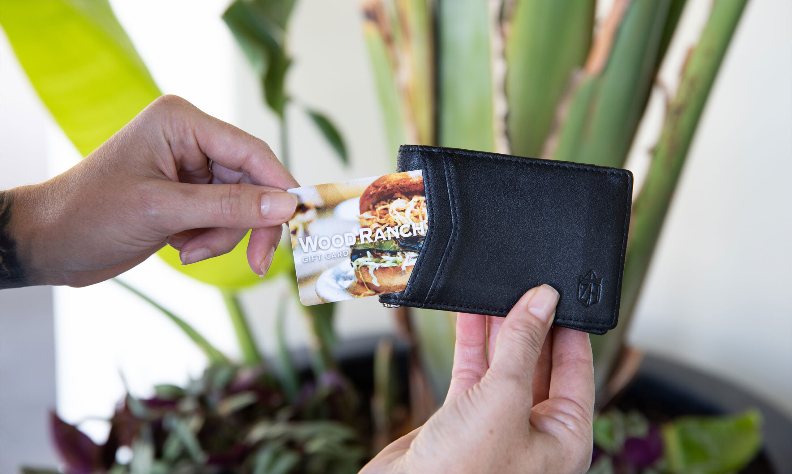 A person's hands are shown pulling a Wood Ranch BBQ & Grill gift card out of a black leather wallet with a plant in soft focus in the background.